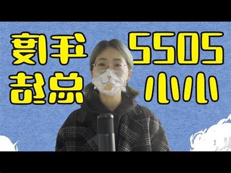 總結 意思